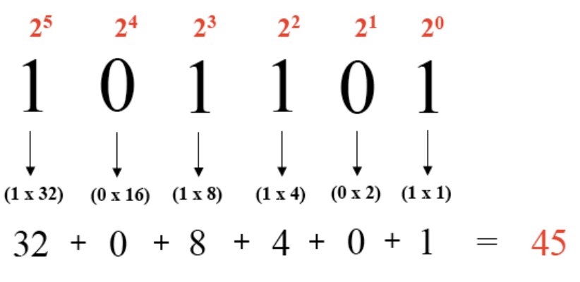 Conversión de binario a decimal